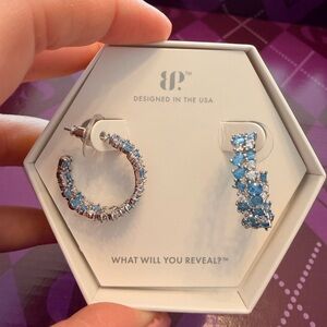 Stunning Blue Crystal Hoop Earrings